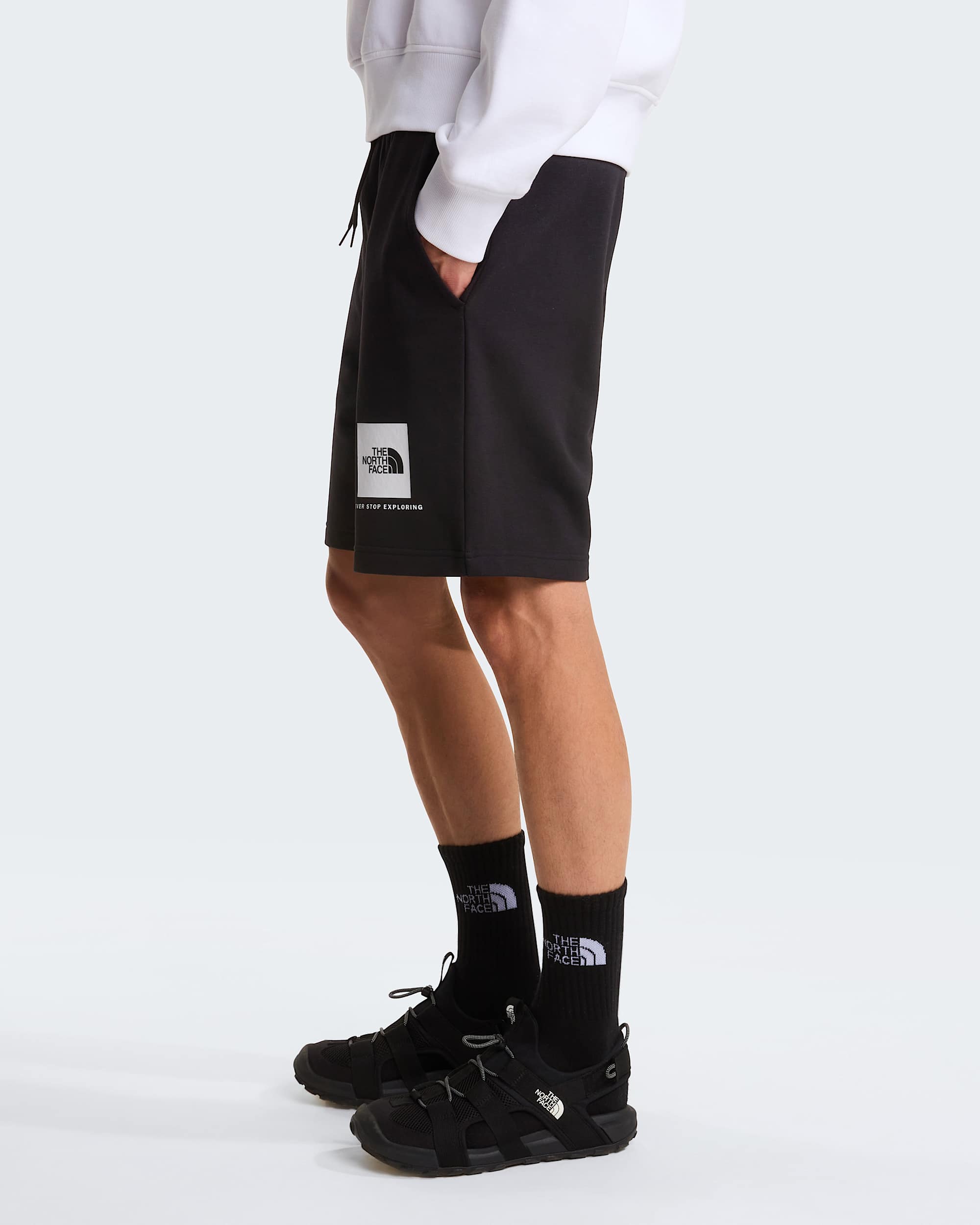 NSE Box leichte  normal geschnittene Shorts fr Herren TNF alt6