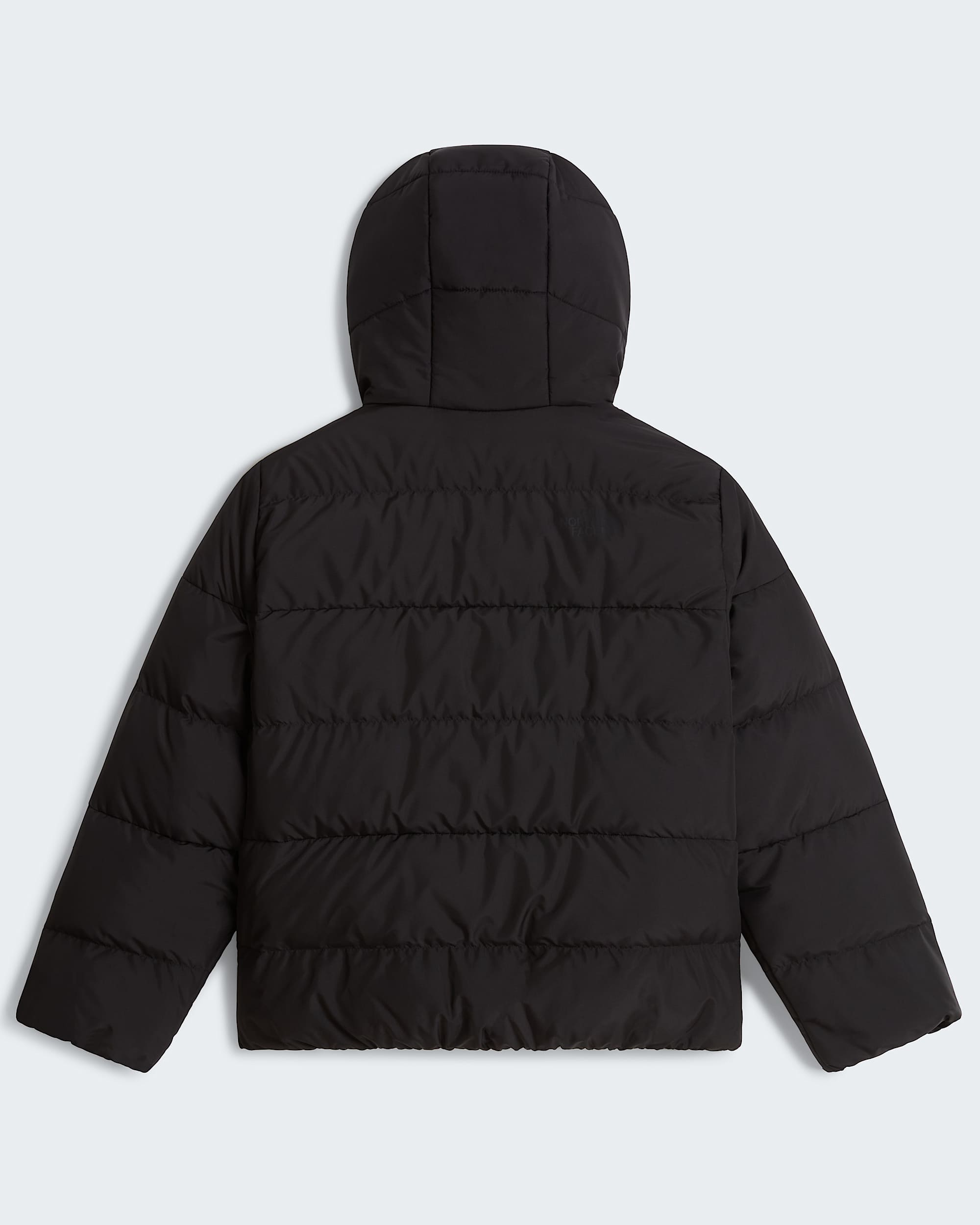 Chaqueta con capucha Frost Fall para jvenes TNF alt31