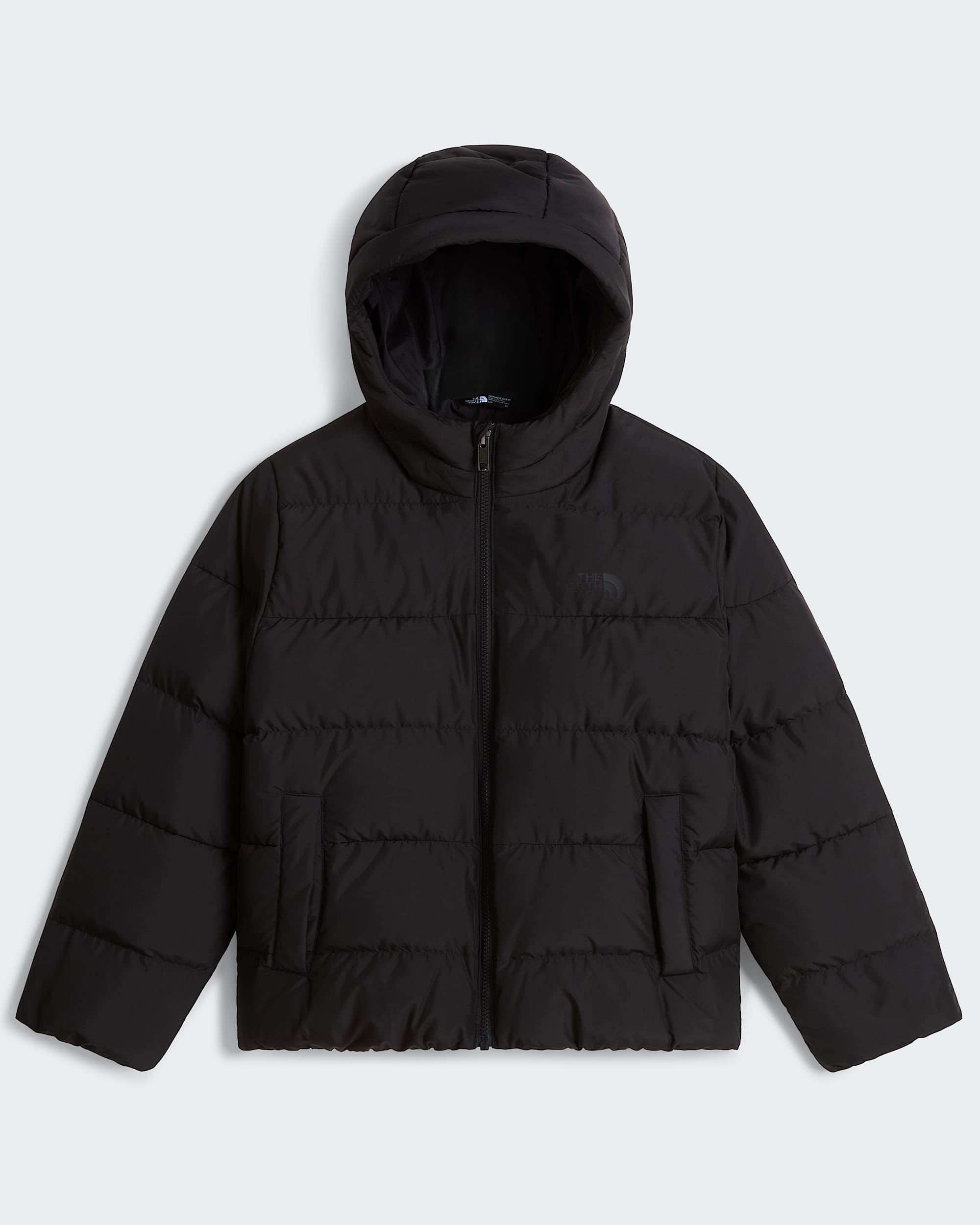 Chaqueta con capucha Frost Fall para jvenes TNF alt30