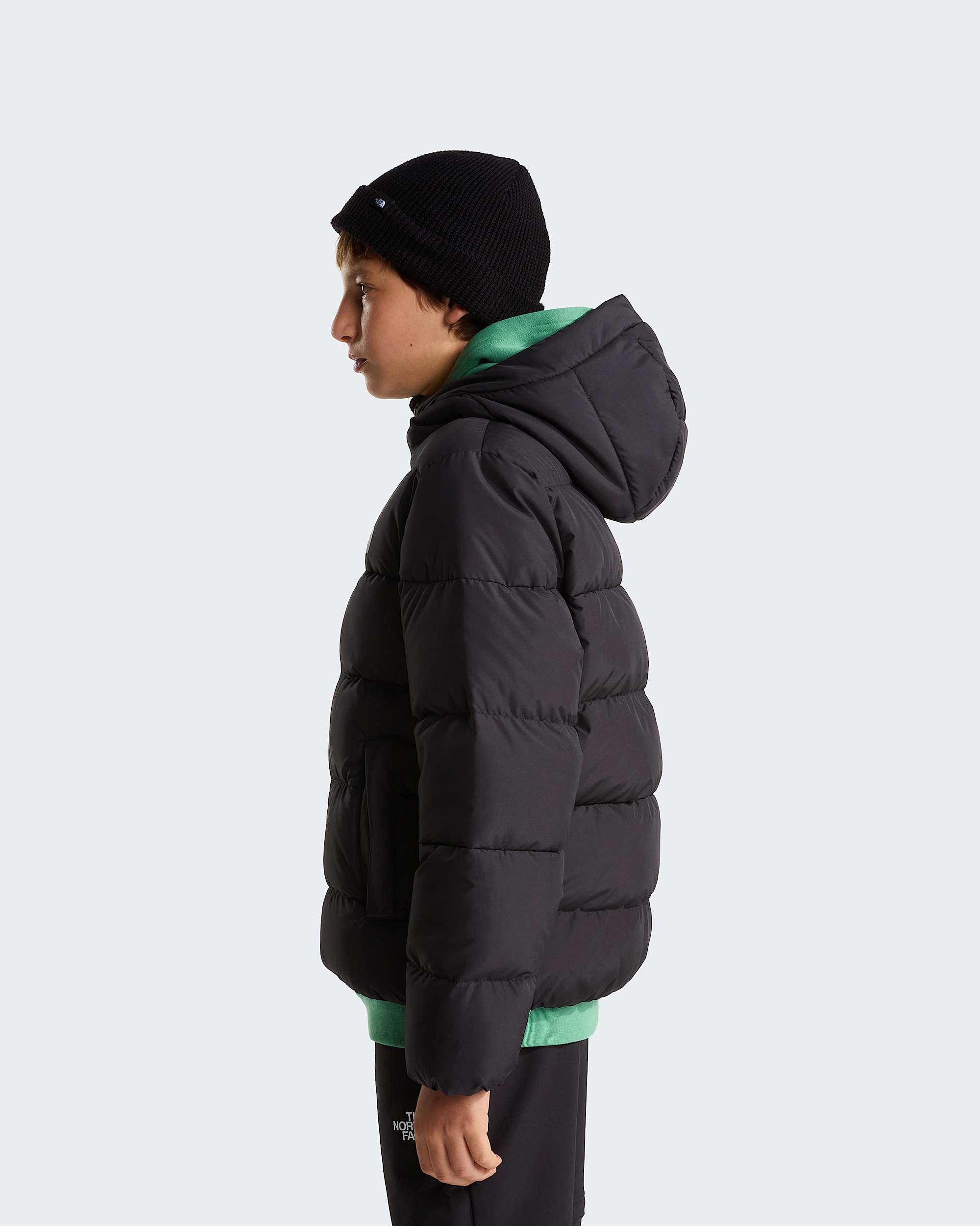 Chaqueta con capucha Frost Fall para jvenes TNF alt2