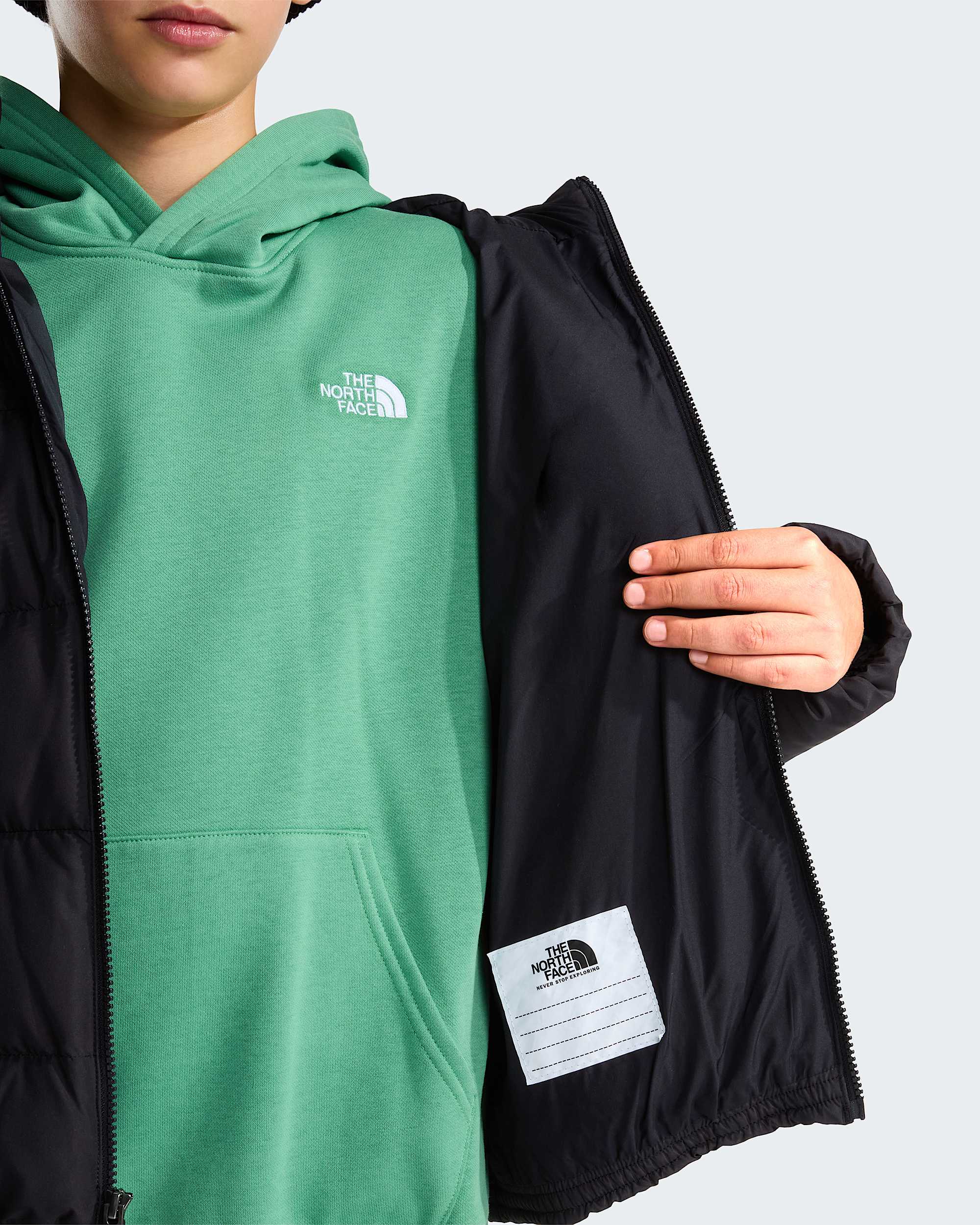 Chaqueta con capucha Frost Fall para jvenes TNF alt8