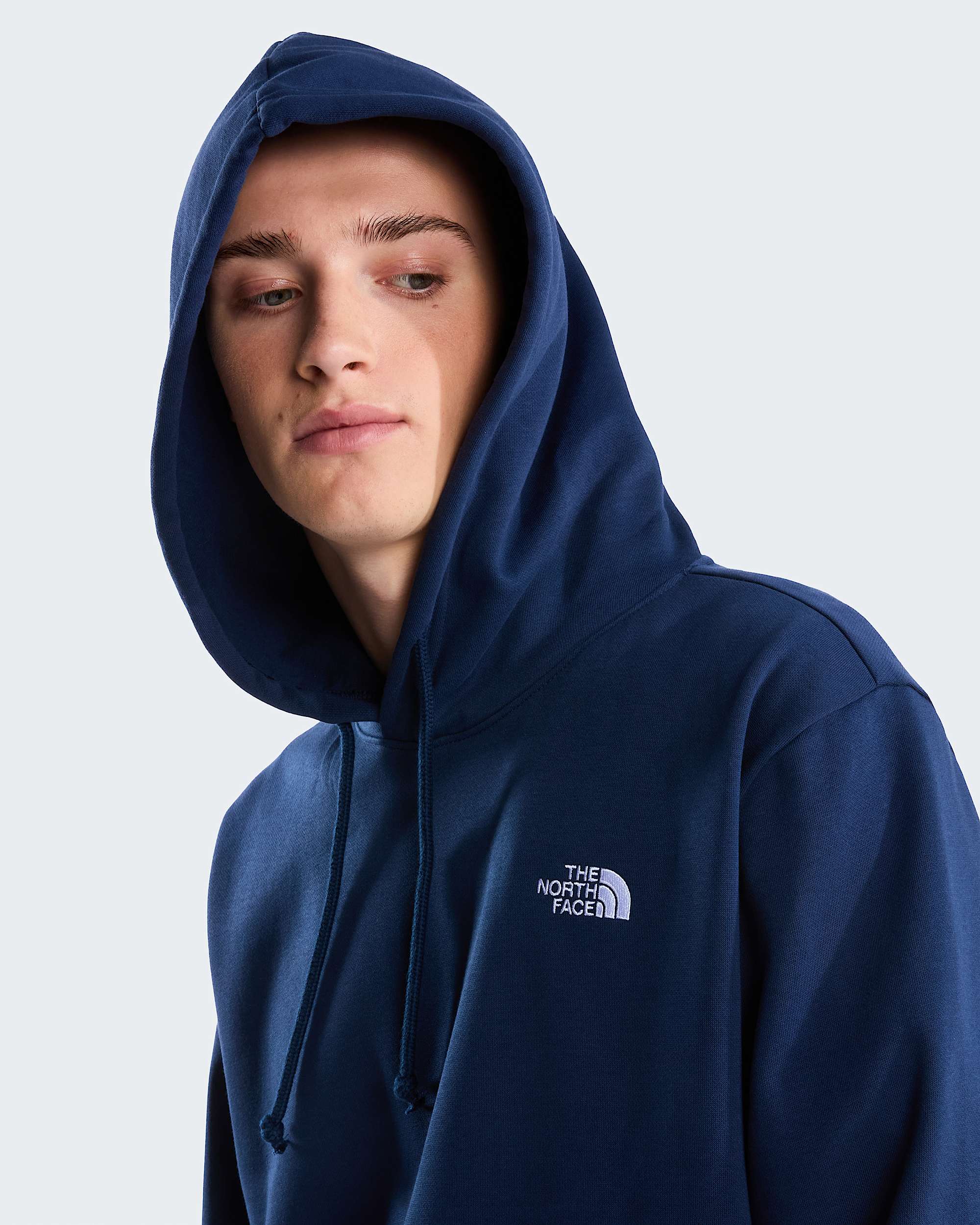 Sweat  capuche standard Evolution Simple Dome pour homme TNF alt4