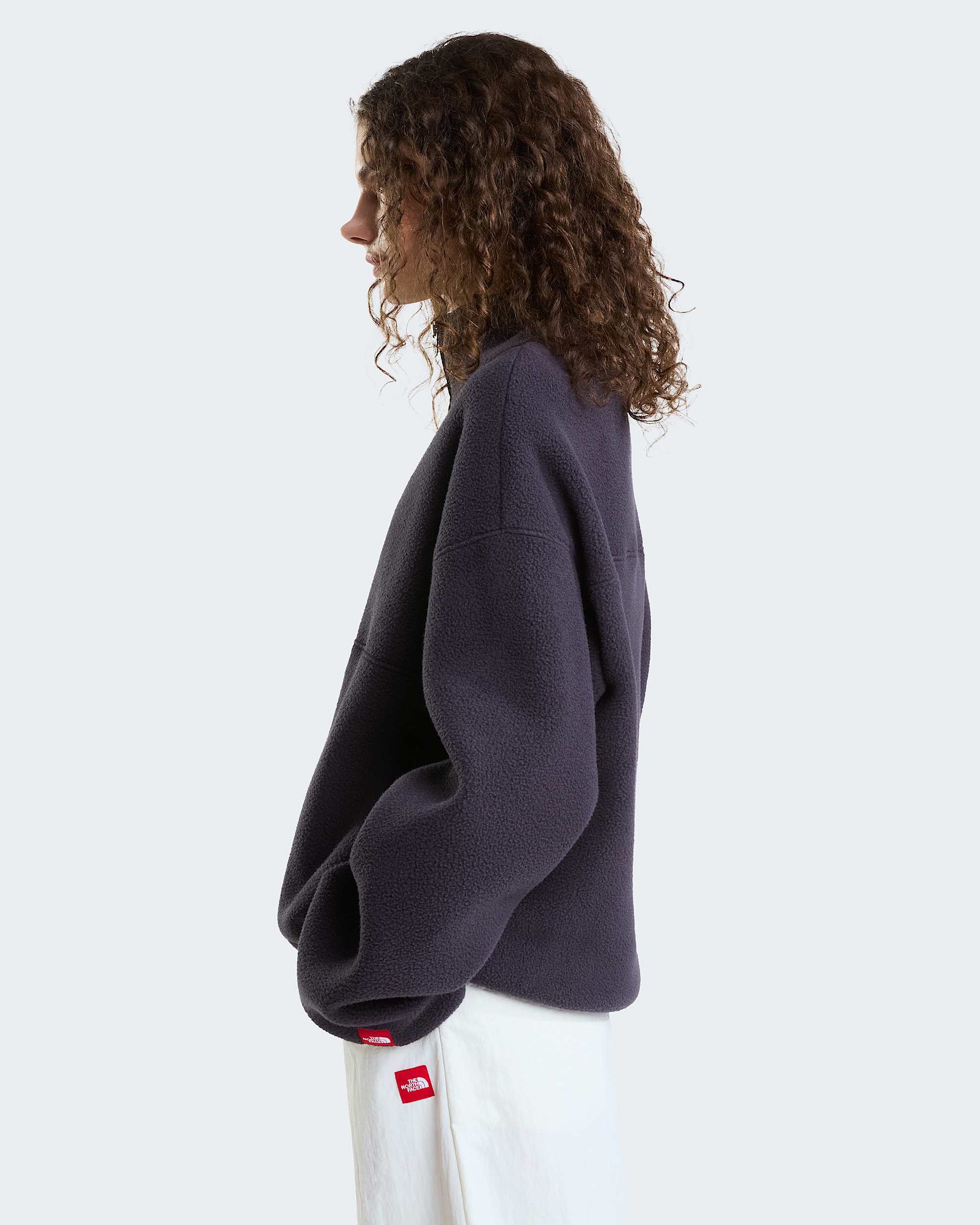 Polaire demizippe Red Box unisexe TNF alt11