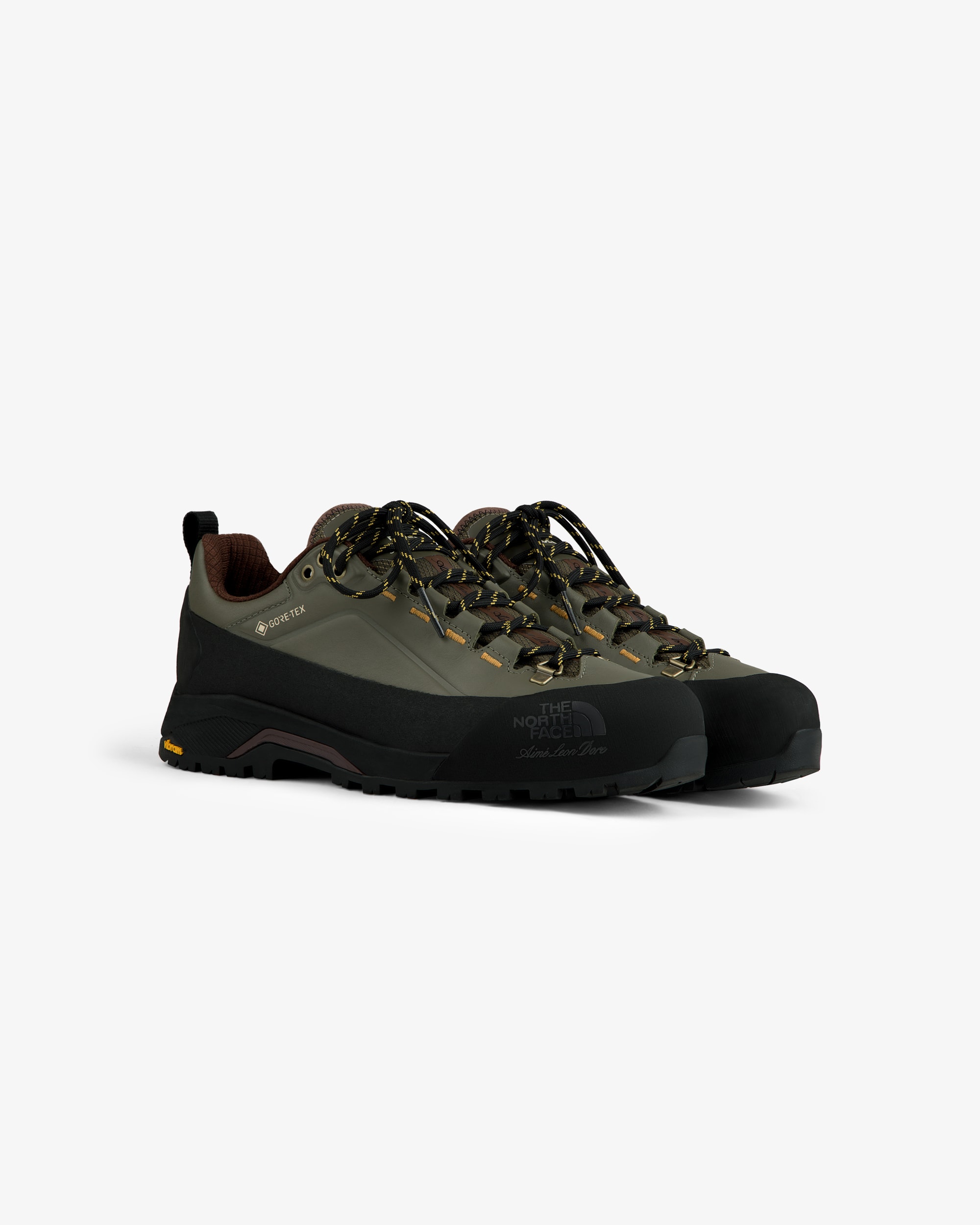 TNF X Aim Leon Dore Verto Alpine GORETEX vandresko TNF alt1