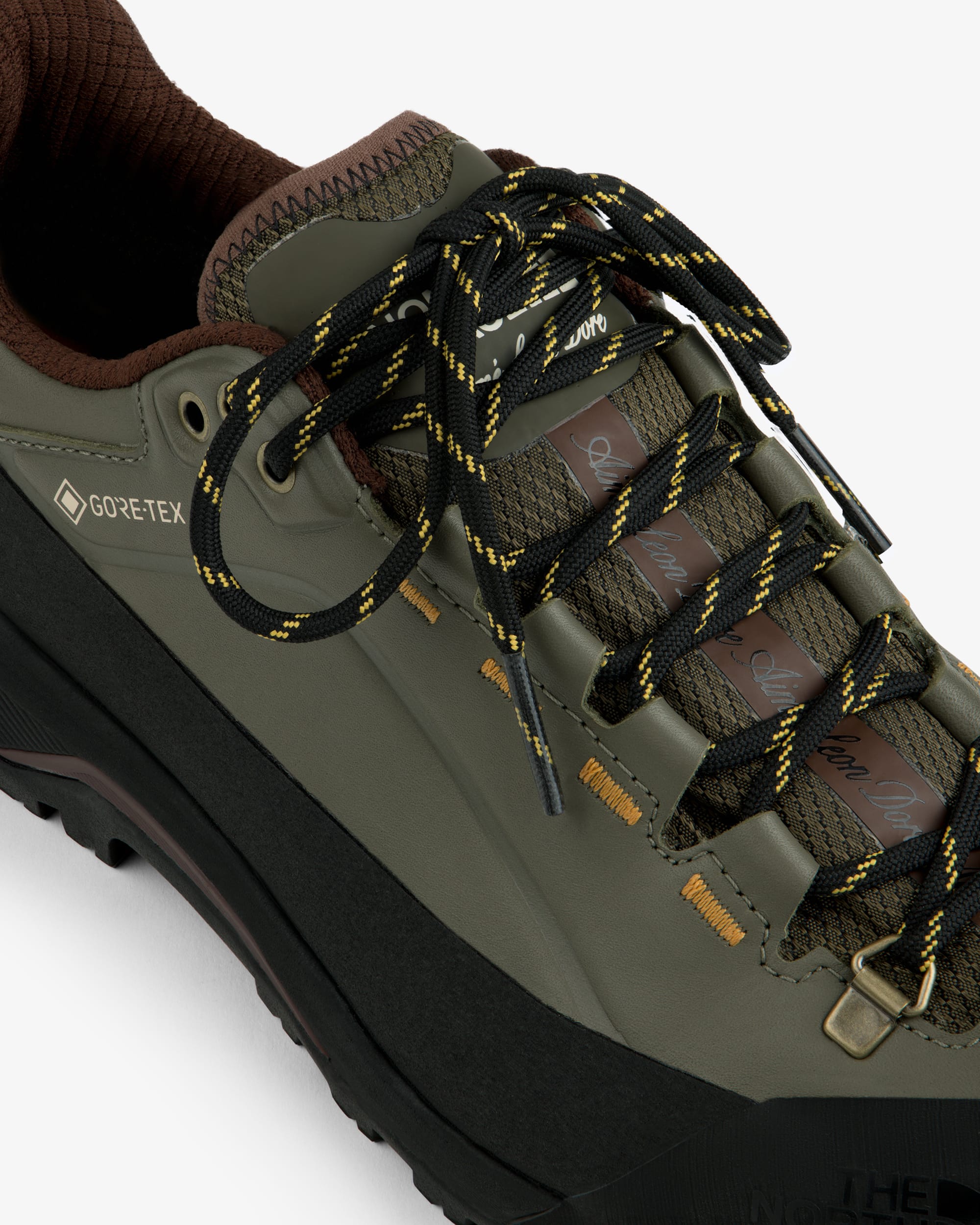 TNF X Aim Leon Dore Verto Alpine GORETEX vandresko TNF alt3