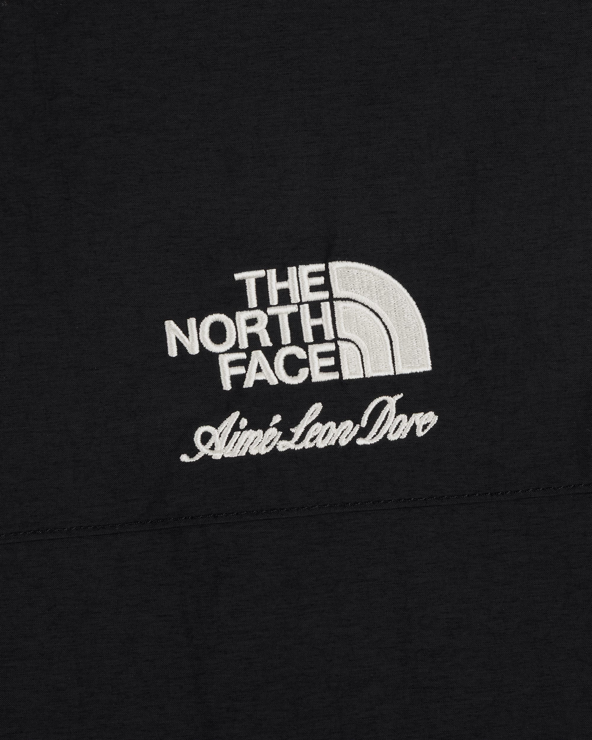 TNF X Aim Leon Dore Nylon Denali Jacke TNF alt2