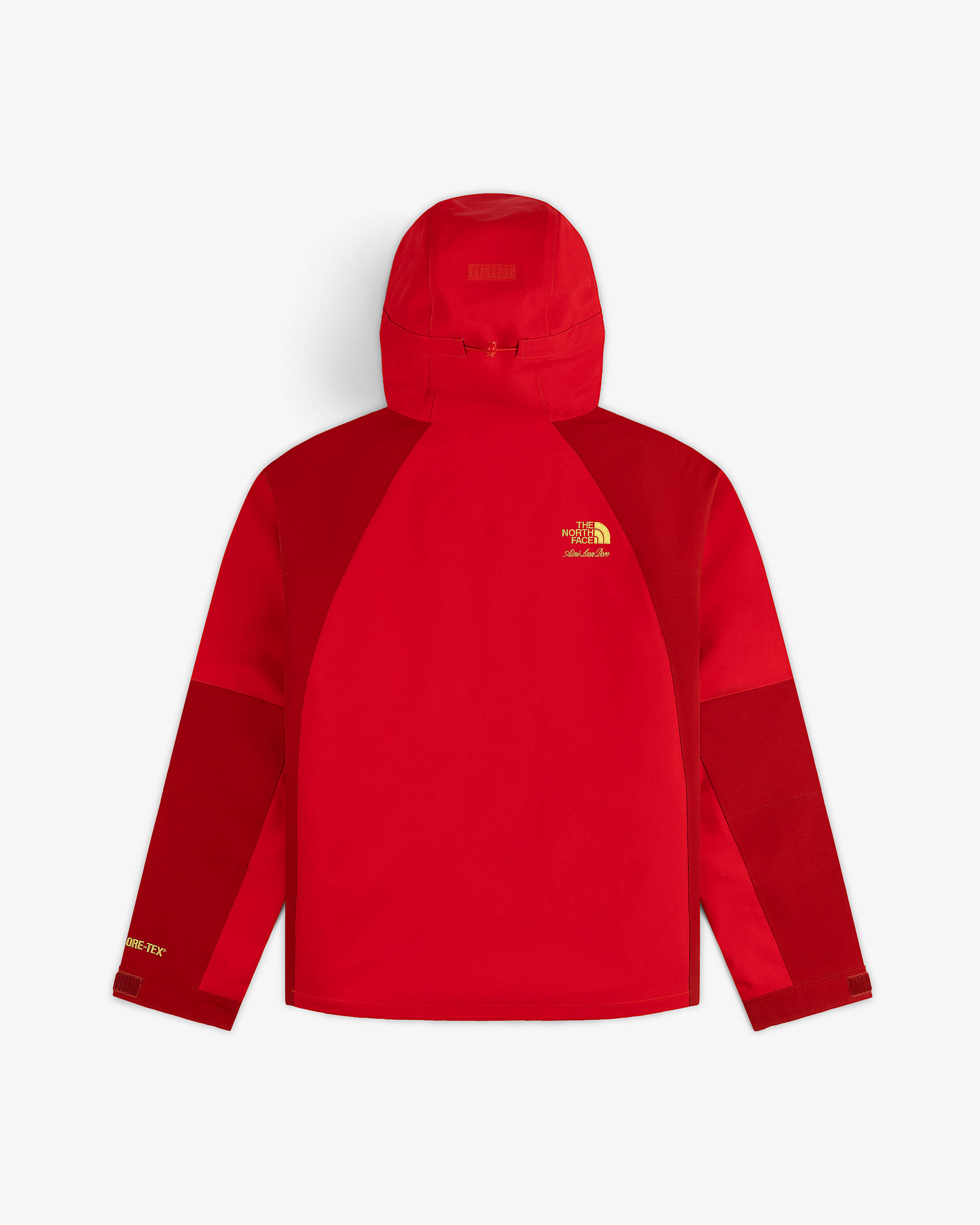 TNF X Aim Leon Dore GORETEX 2000 Mountain Jacke TNF alt1