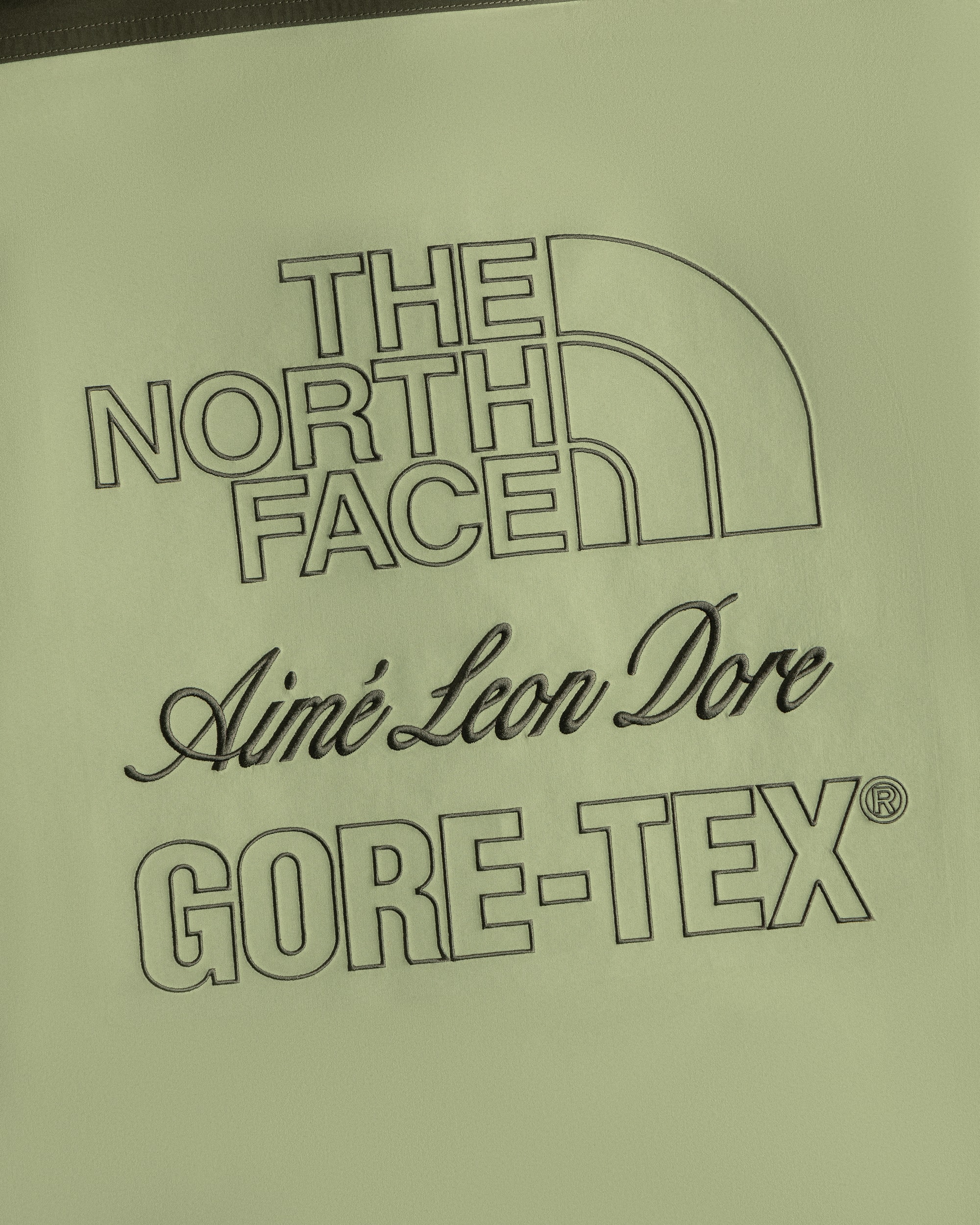TNF X Aim Leon Dore GORETEX trenchcoat TNF alt3