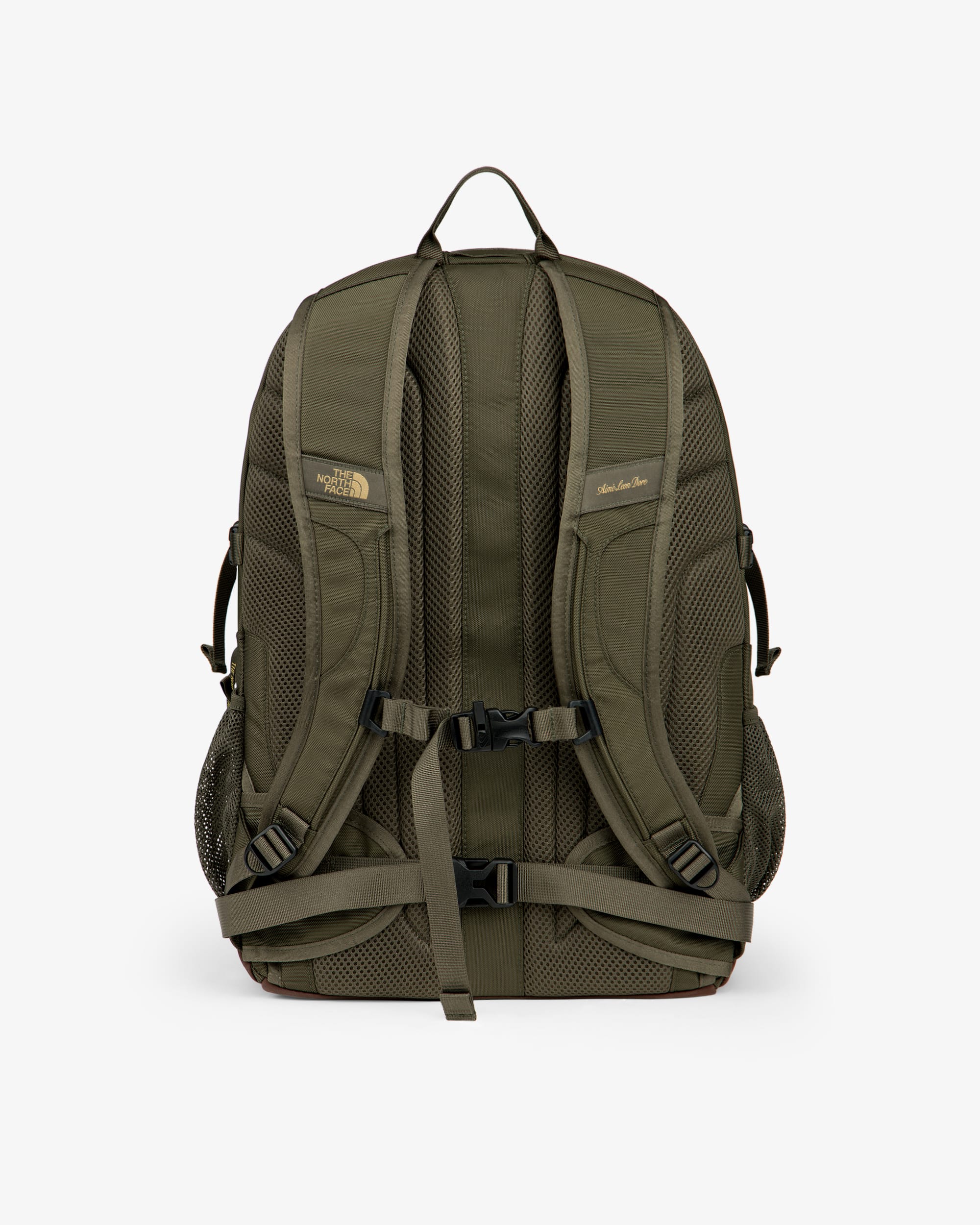 TNF X Aim Leon Dore Borealis Classic rygsk TNF alt1