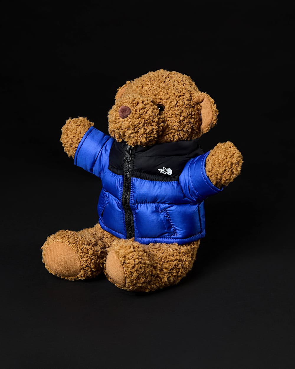 The Nuptse Bear | The North Face SE