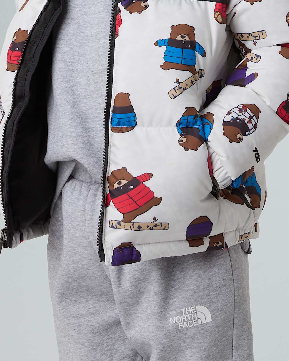 Veste imprime 1996 Retro Nuptse pour enfant TNF ALT9