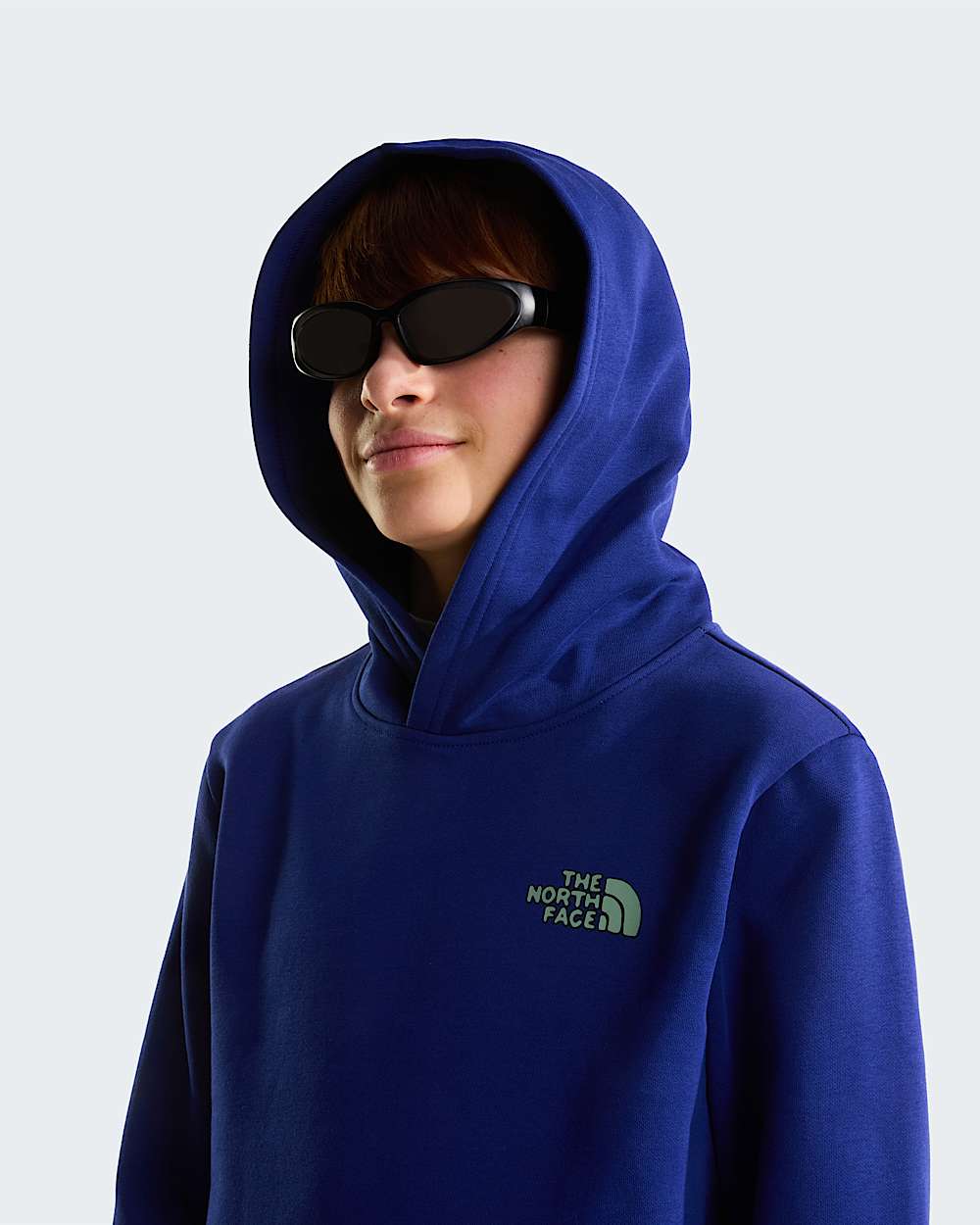 Sweat  capuche standard Graphic Outdoor pour garon TNF ALT4