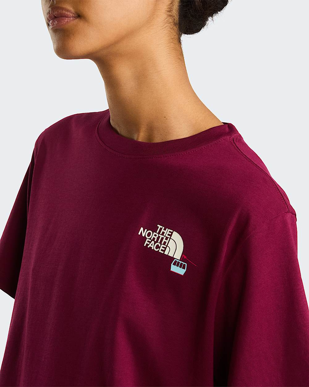 Wish For Snow Relaxed TShirt W TNF ALT4