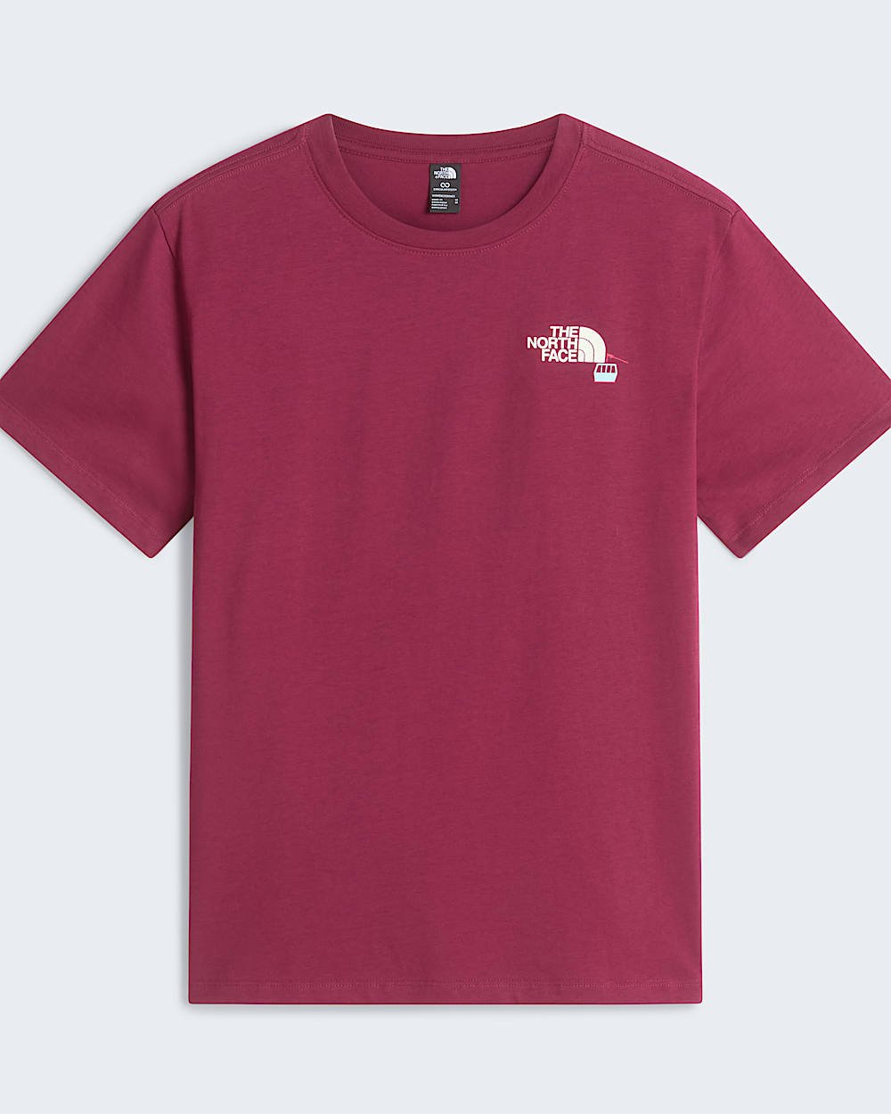 Wish For Snow Relaxed TShirt W TNF ALT30