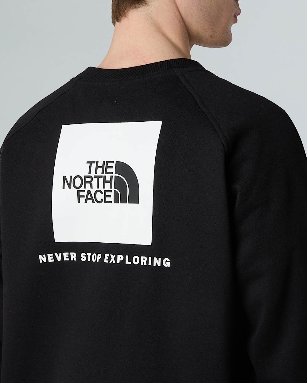 NSE Raglan Box Sweatshirt fr Herren TNF alt8