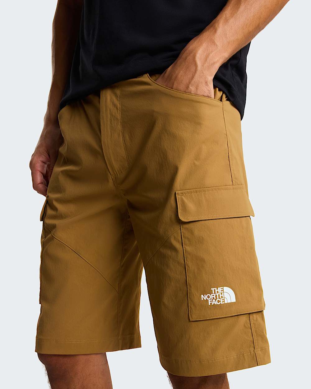 Mens Exploration Cargo Shorts TNF alt9