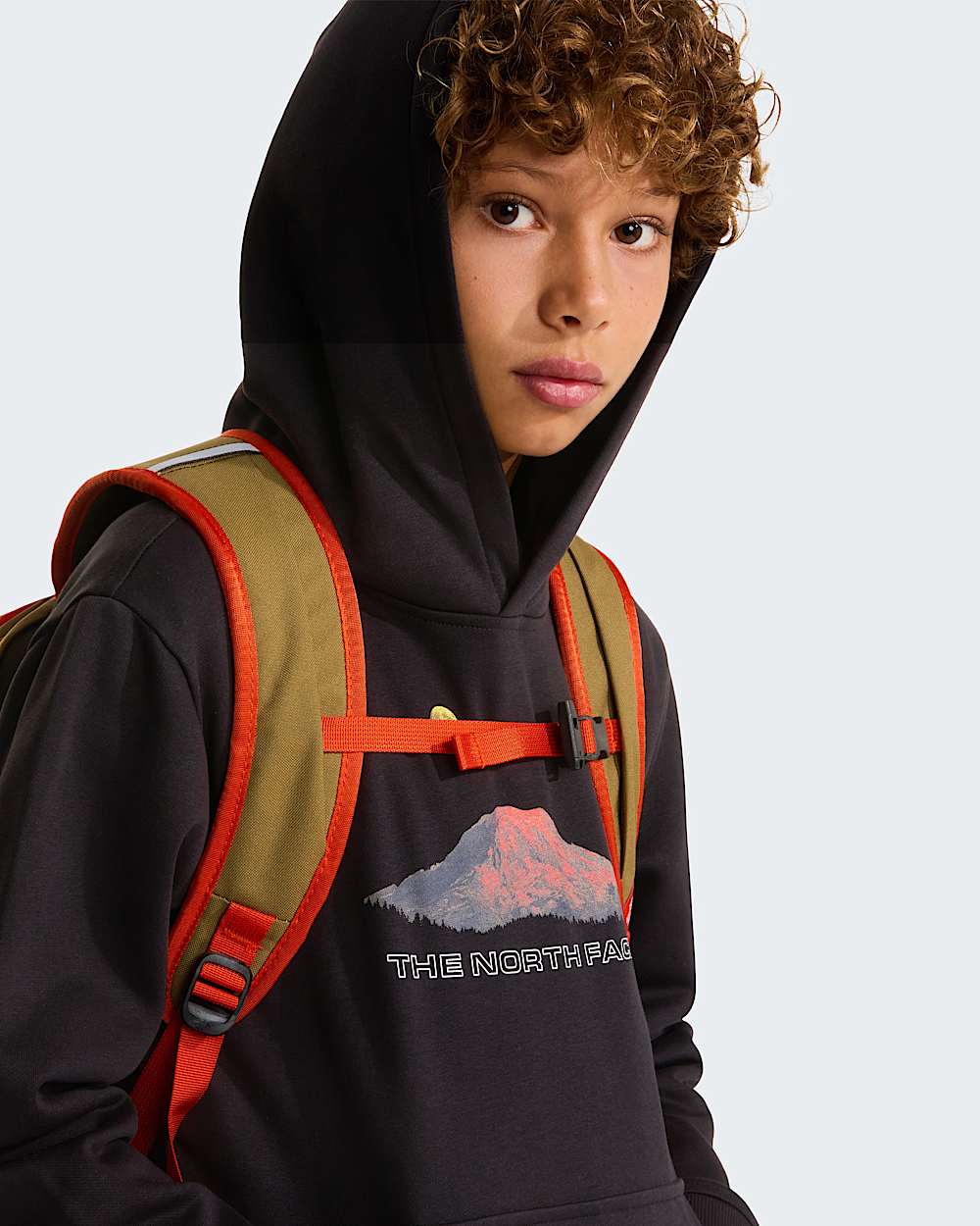 Sweat  capuche dcontract Mountain Night pour garon TNF alt10