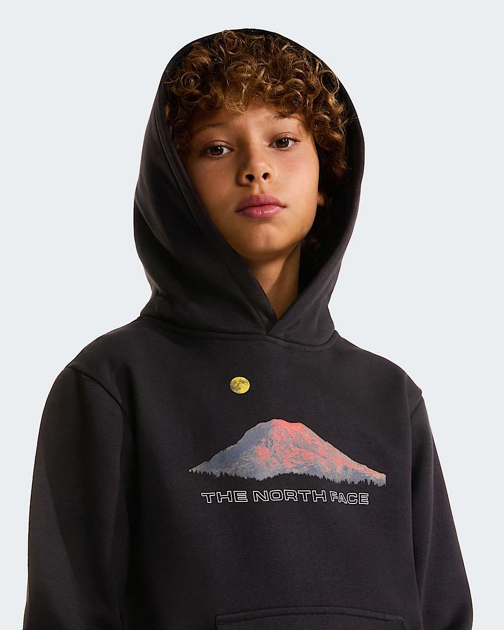 Sweat  capuche dcontract Mountain Night pour garon TNF alt8