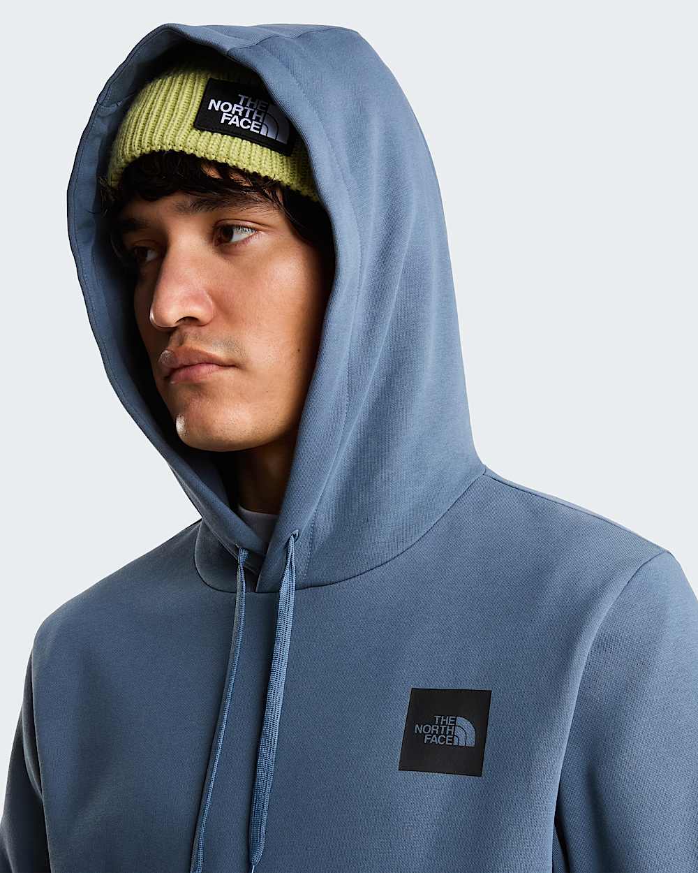 Evolution Box Half Dome Regular hoodie voor heren TNF alt8