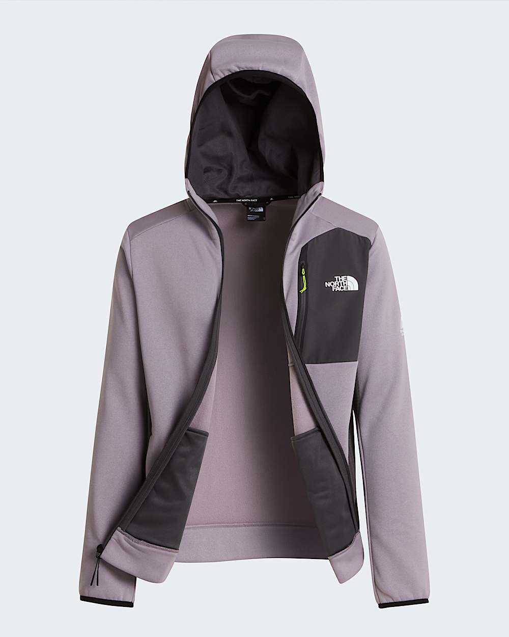 Mountain Athleticshoodie van fleece voor heren TNF alt30