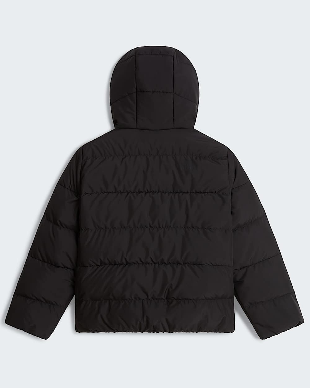 Chaqueta con capucha Frost Fall para jvenes TNF alt31