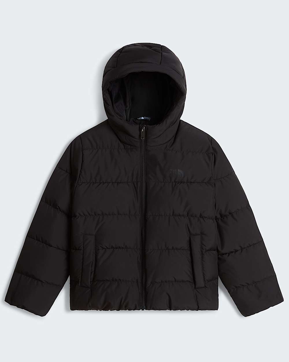 Chaqueta con capucha Frost Fall para jvenes TNF alt30