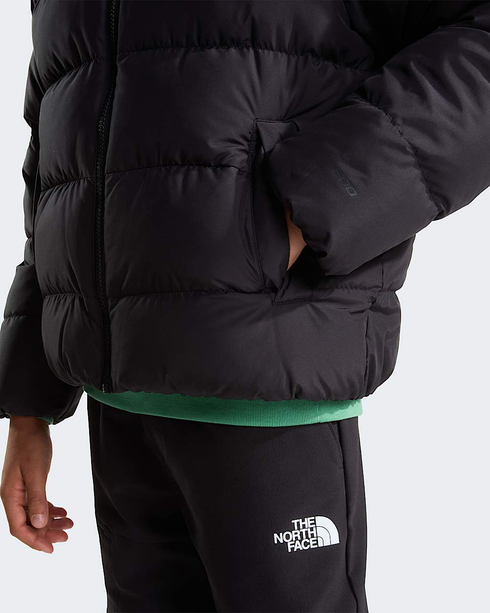 Chaqueta con capucha Frost Fall para jvenes TNF alt7