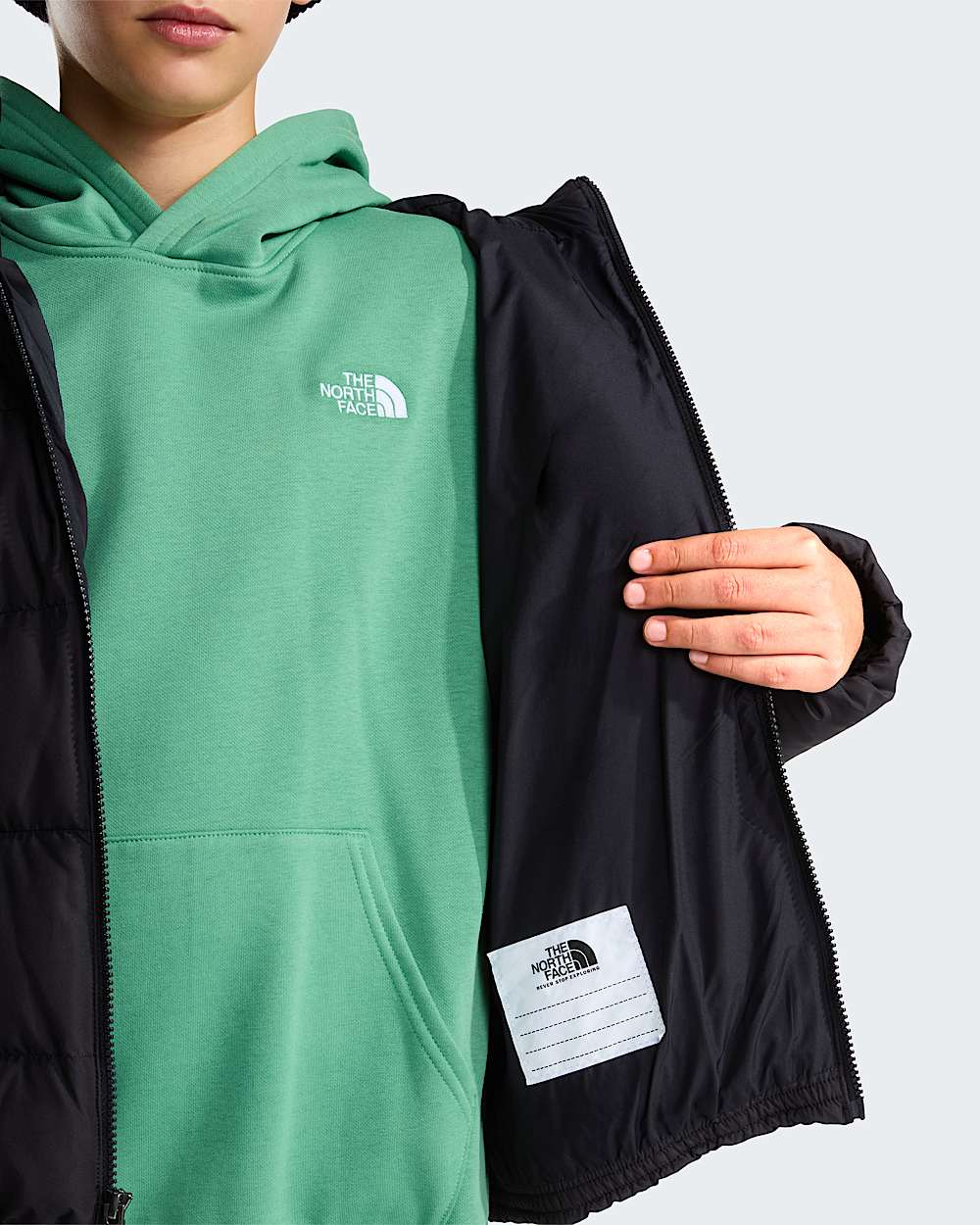 Chaqueta con capucha Frost Fall para jvenes TNF alt8