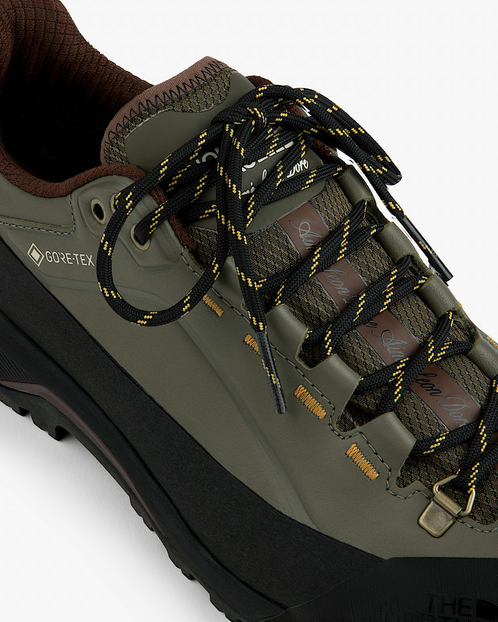 TNF X Aim Leon Dore Verto Alpine GORETEX vandresko TNF alt3