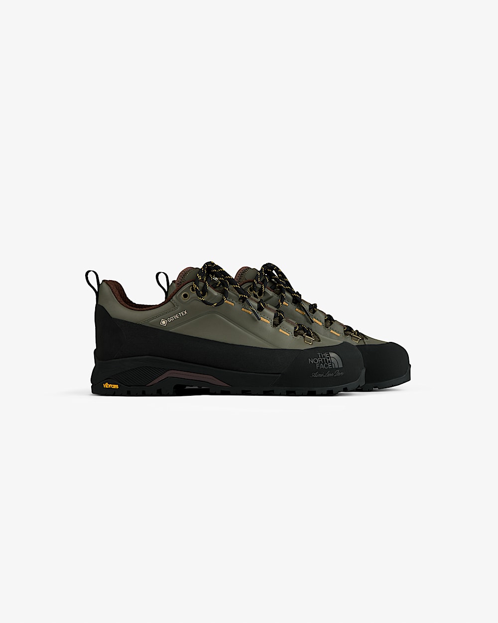 TNF X Aim Leon Dore Verto Alpine GORETEX vandresko TNF hero