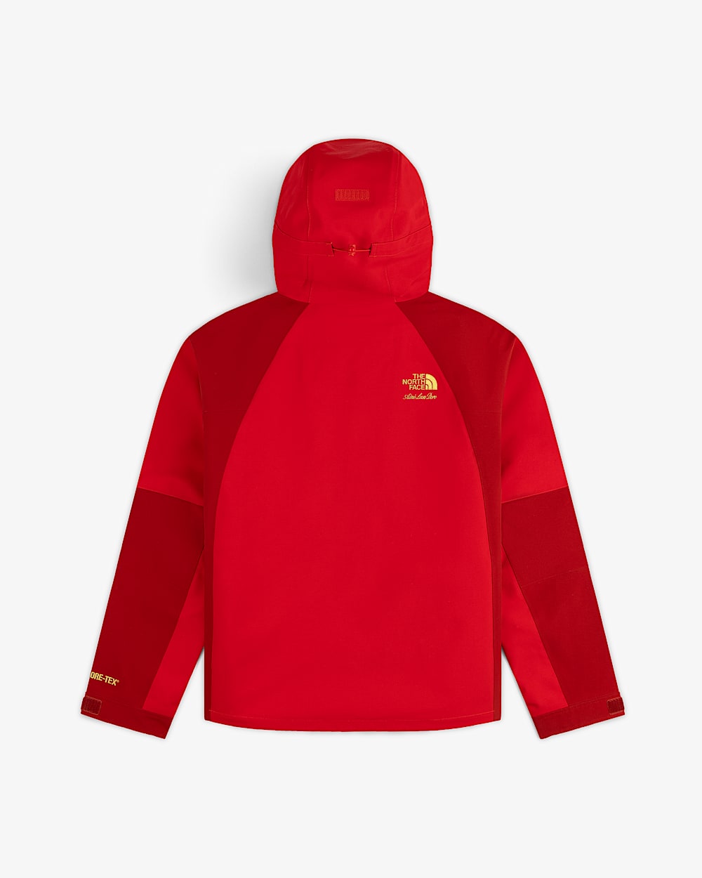 TNF X Aim Leon Dore GORETEX 2000 Mountain Jacke TNF alt1
