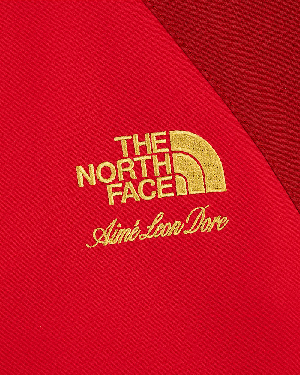TNF X Aim Leon Dore GORETEX 2000 Mountain Jacke TNF alt3