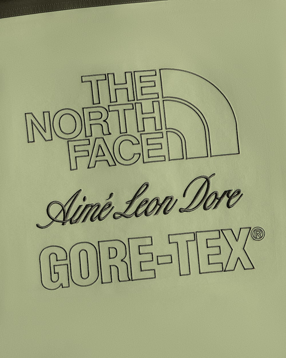 TNF X Aim Leon Dore GORETEX trenchcoat TNF alt3