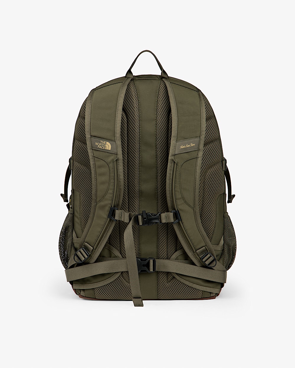 TNF X Aim Leon Dore Borealis Classic rygsk TNF alt1