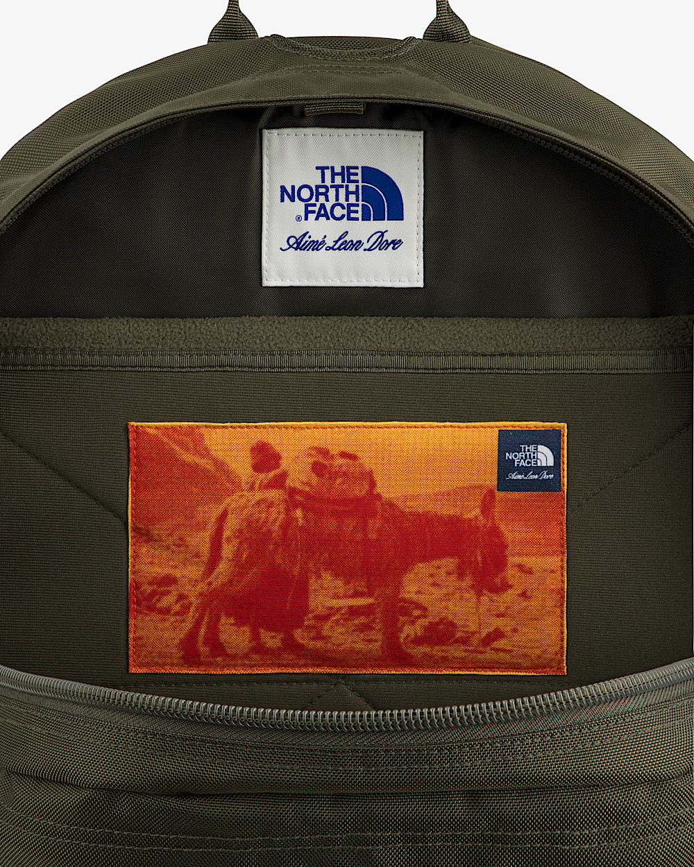 TNF X Aim Leon Dore Borealis Classic rygsk TNF alt3