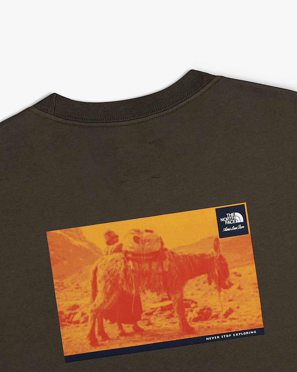 TNF X Aim Leon Dore LongSleeve TShirt TNF alt3