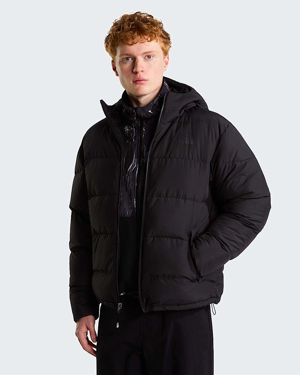 Veste  capuche Frost Fall pour homme TNF alt4