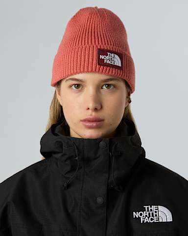 TNF Logo Box Cuffed Beanie TNF Mars DustSumac ALT1