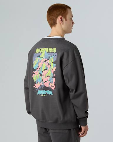 Uniseks oversized Expedition Celebrationsweatshirt TNF Anthracite Grey ALT2