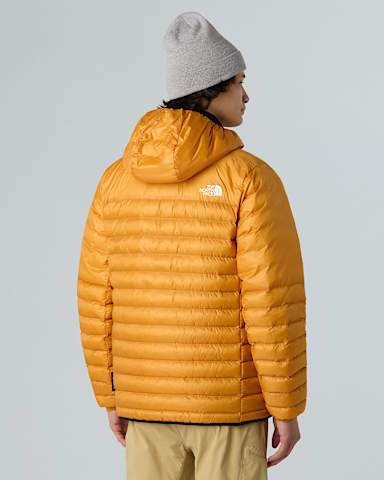 Veste capuche Terra Peak pour homme TNF Citrine Yellow ALT2
