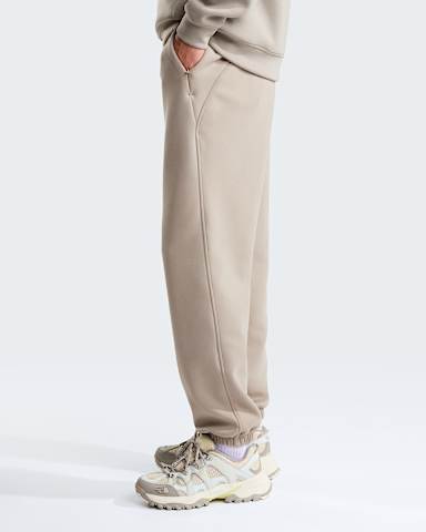 Mens Dynamic Joggers TNF Stone Slab ALT2