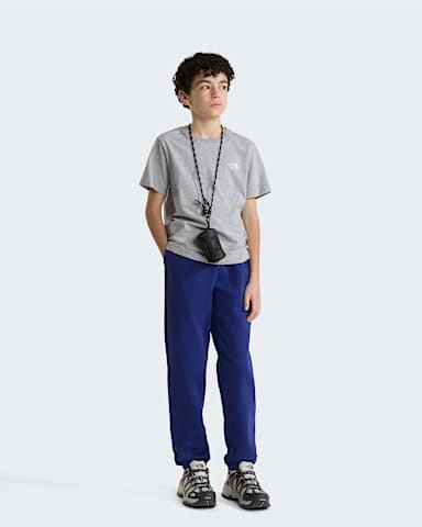Tshirt Evolution Simple Dome da ragazzi TNF TNF Pale Grey Heather ALT1