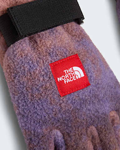 Red Box Fleece Gloves TNF Grounded Plum 1989 Catalogue Print alt2