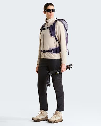 Polaire Glacier pour femme TNF Timeless Taupe ALT1