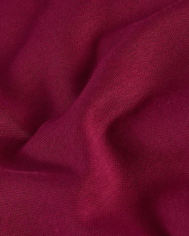 Damen Evolution Simple Dome Regular Hoodie TNF Burgundy Crush alt27