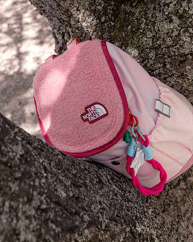 Kids Mini Explorer Backpack TNF PrimrosePale BlossomFermented Clay HERO