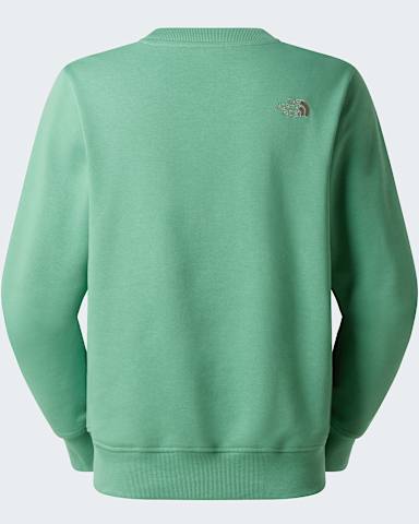Drew Peak Lightsweatshirt voor heren TNF Dimmed AlgaeStone Slab alt1