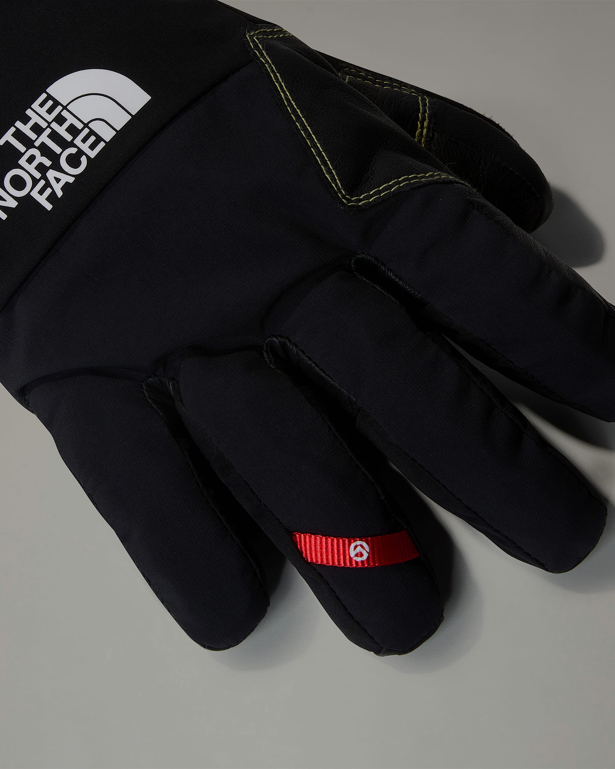 Gants Summit Alpine TNF ALT2