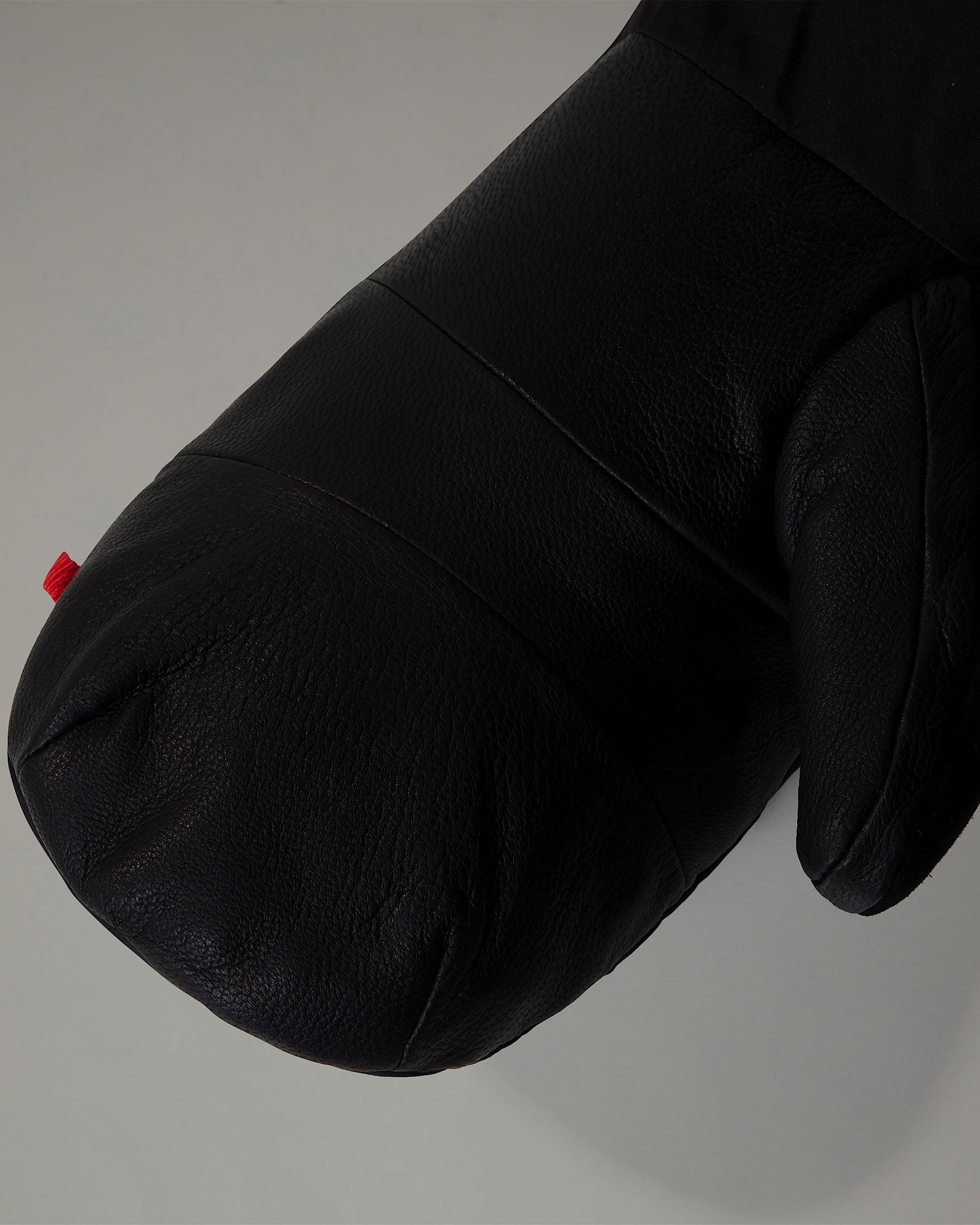 Summit Down GORETEX Mittens TNF ALT2