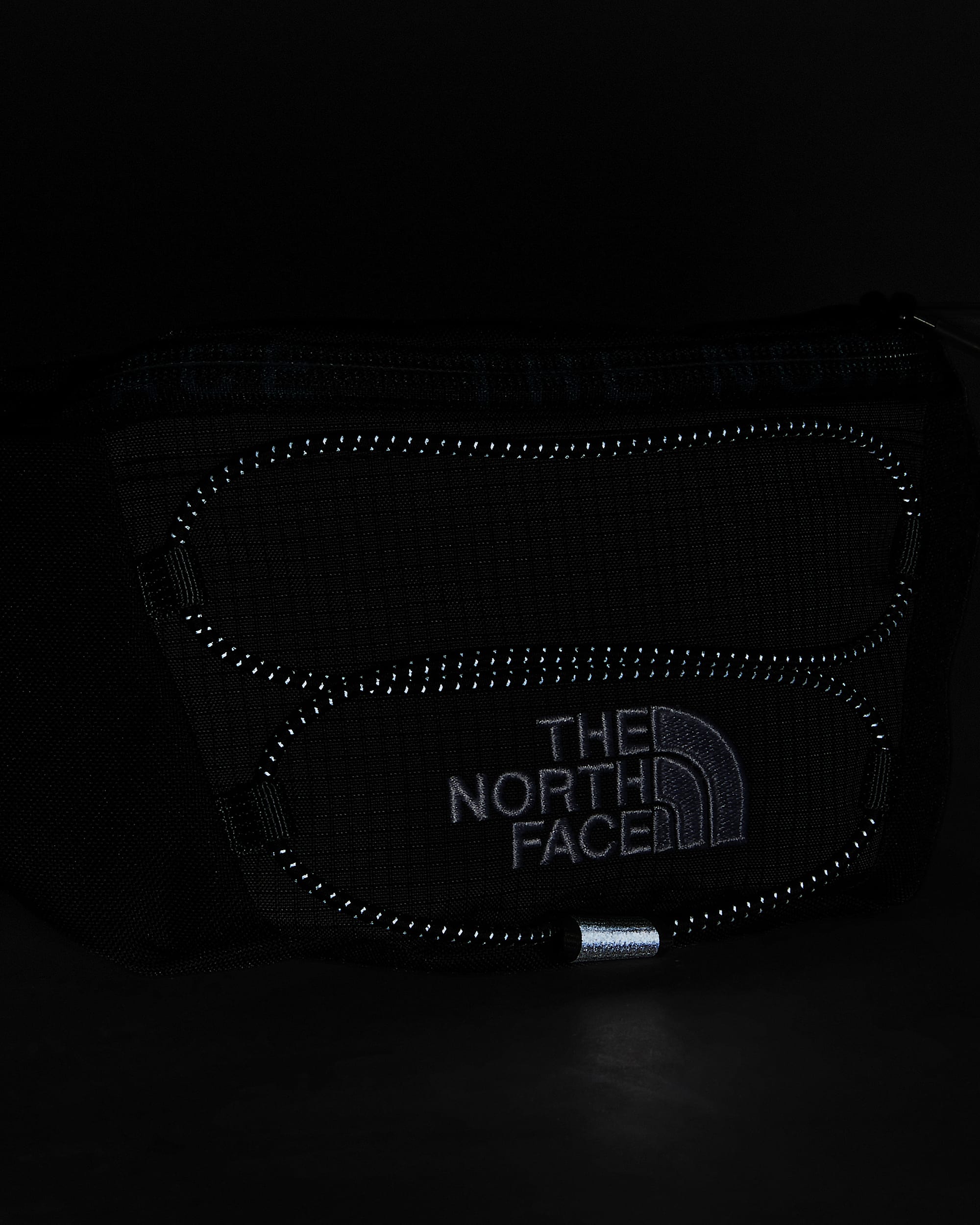 Jester Bum Bag TNF ALT5